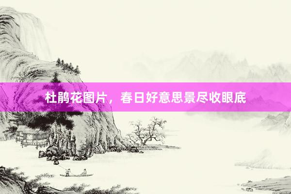 杜鹃花图片，春日好意思景尽收眼底
