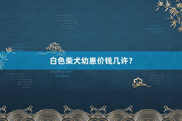 白色柴犬幼崽价钱几许？